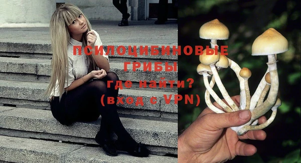 марки nbome Алзамай