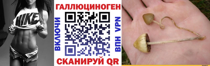 даркнет сайт  Анива  Галлюциногенные грибы Psilocybine cubensis 